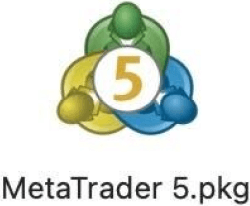 MT5のインストーラーを起動